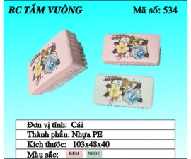 Bàn chải Tắm vuông