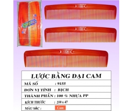 LƯỢC BẰNG ĐẠI CAM