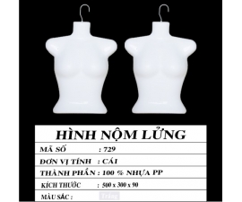 HÌNH NỘM LỬNG