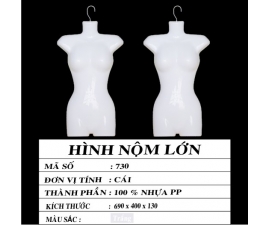 HÌNH NỘM LỚN